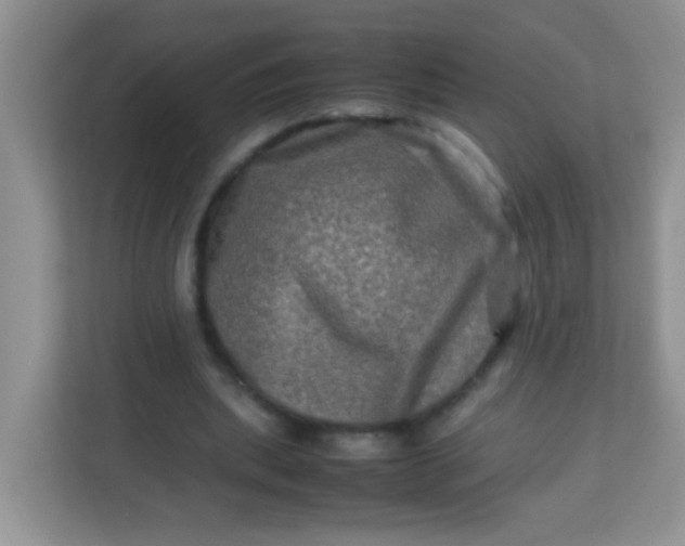 X0000113290439200909281015