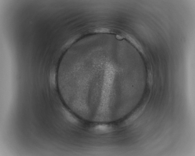 X0000113290441200909281015