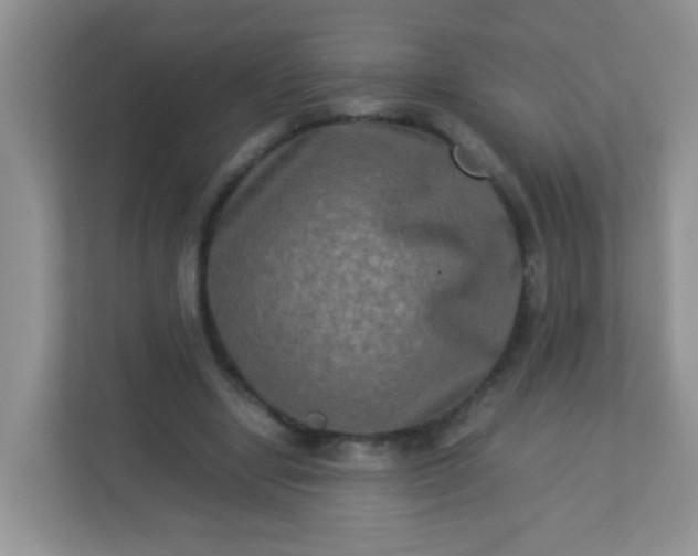 X0000113290442200909281015