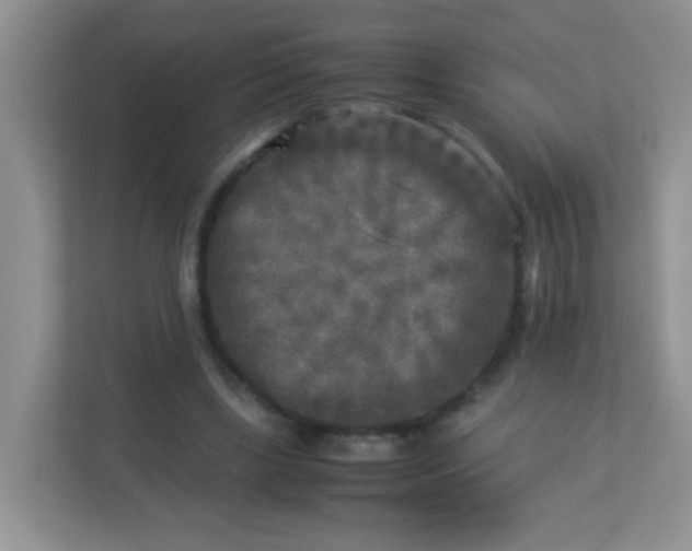 X0000113290443200909281015