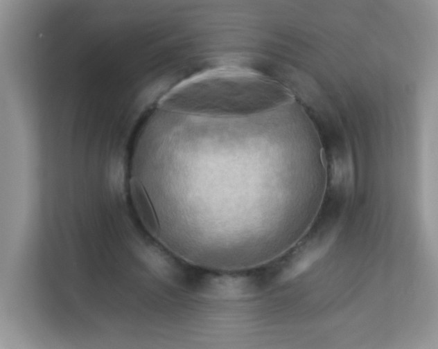 X0000113290444200909281015