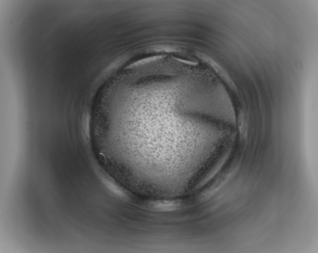 X0000113290445200909281015