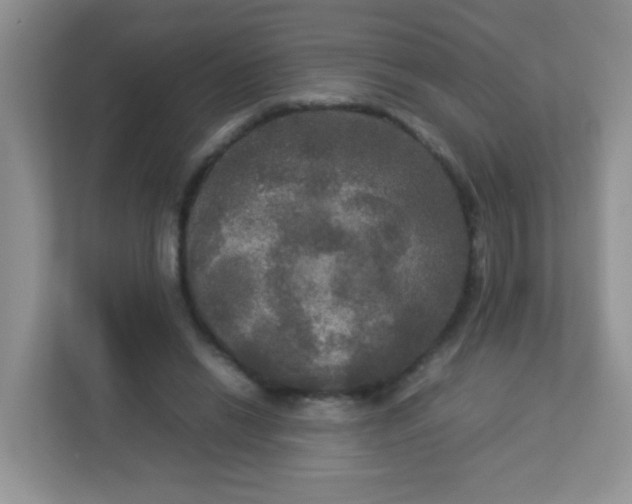 X0000113290446200909281015