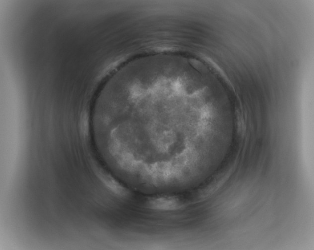 X0000113290447200909281015