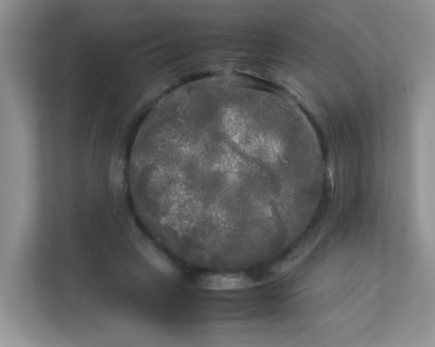 X0000113290449200909281015