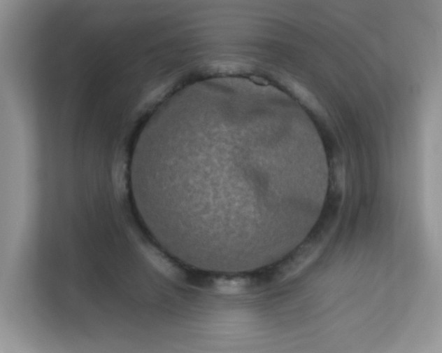 X0000113290450200909281015