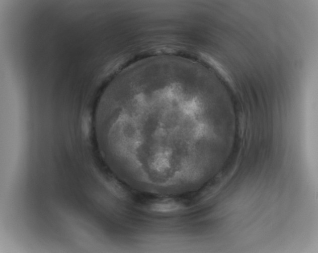 X0000113290451200909281015