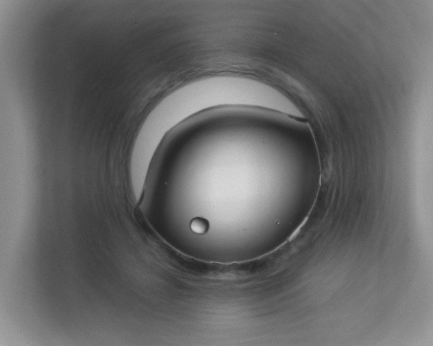 X0000113290452200909281015