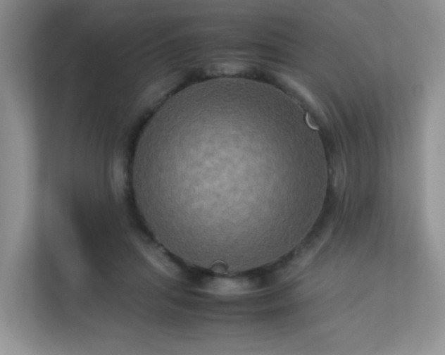 X0000113290455200909281015