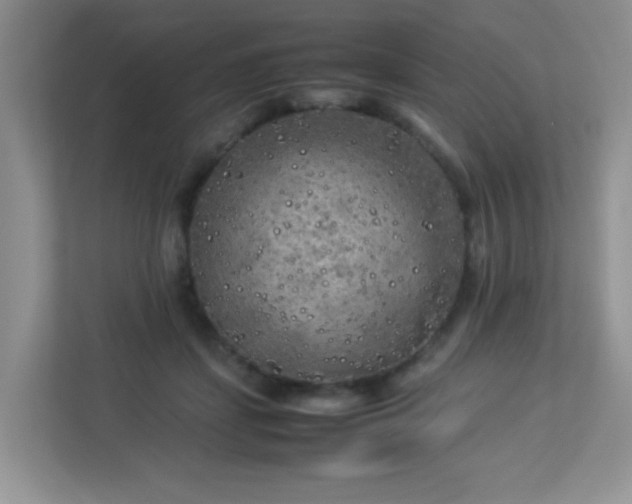 X0000113290459200909281015