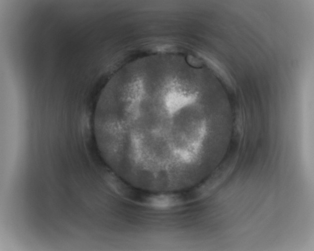 X0000113290461200909281015