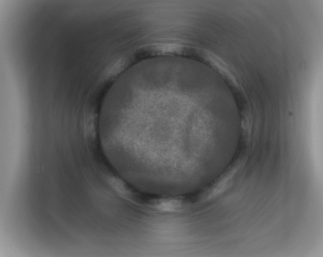 X0000113290462200909281015