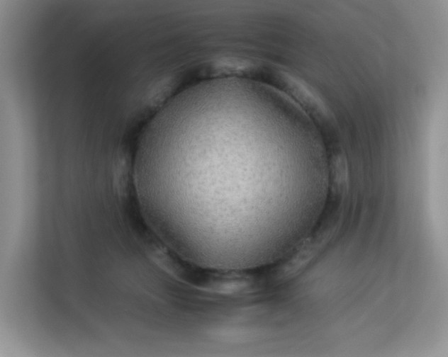 X0000113290463200909281016