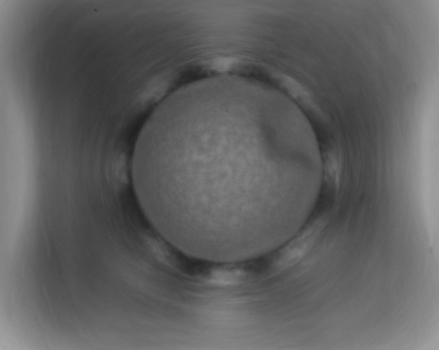 X0000113290470200909281016