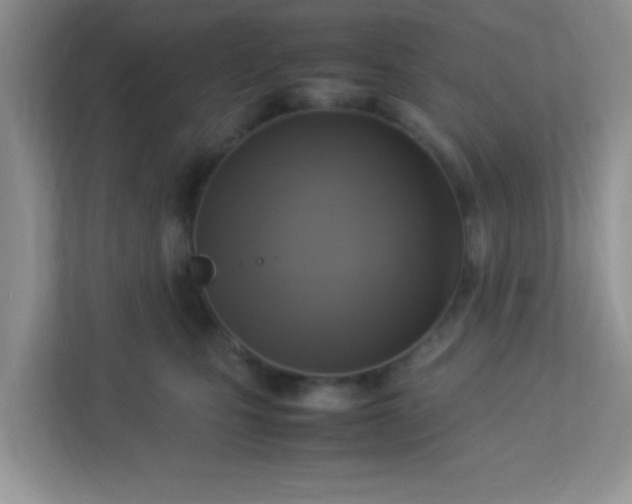 X0000113290471200909281016