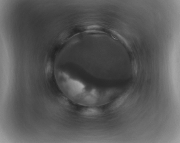 X0000113290475200909281016