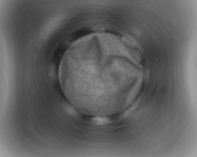 X0000113290477200909281016