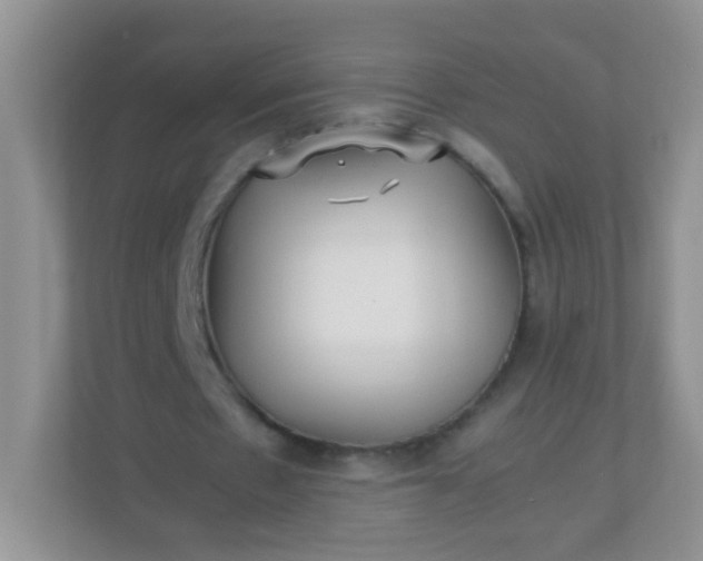 X0000113290481200909281015