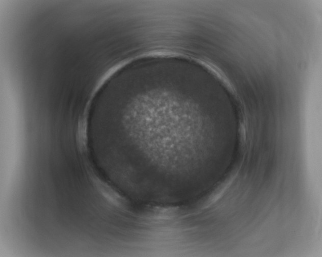 X0000113290484200909281015