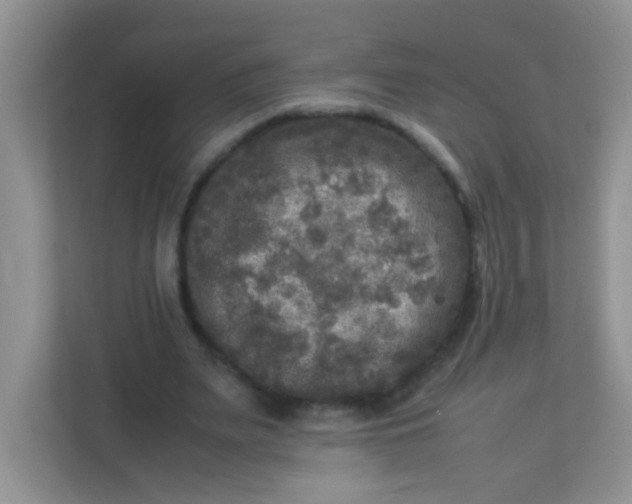 X0000113290487200909281015