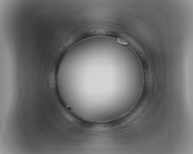 X0000113290489200909281015