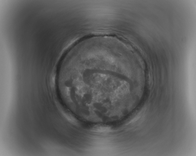 X0000113290491200909281015