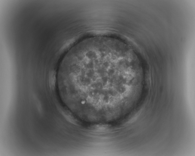 X0000113290495200909281015