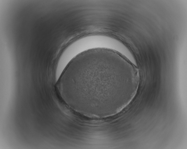 X0000113290496200909281015