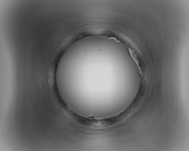 X0000113290497200909281015