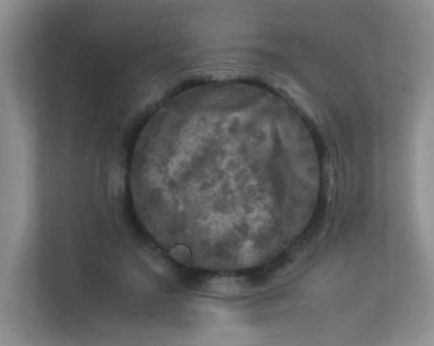 X0000113290499200909281015