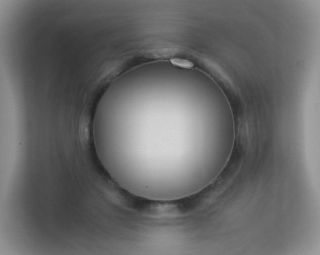 X0000113290501200909281015