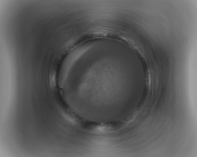 X0000113290504200909281015