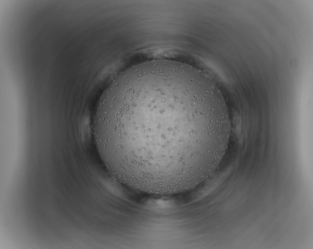 X0000113290506200909281015