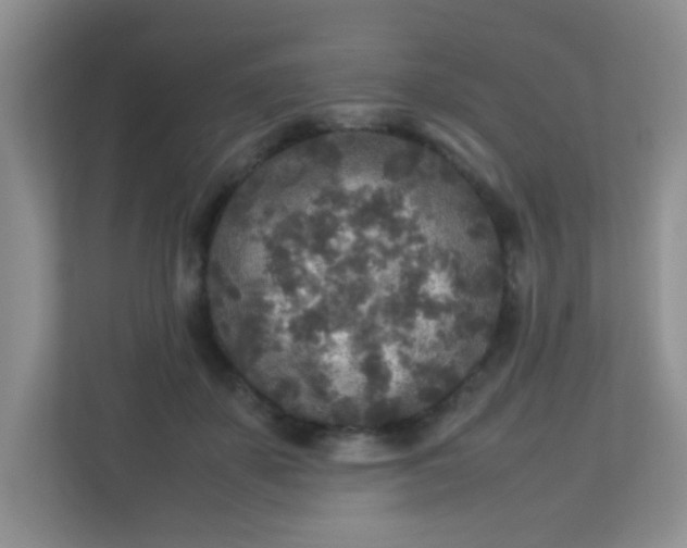 X0000113290507200909281015