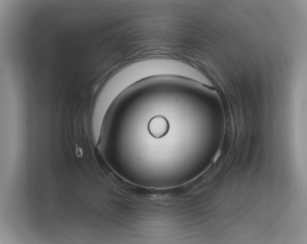 X0000113290508200909281015