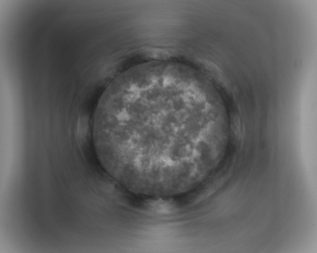 X0000113290511200909281015