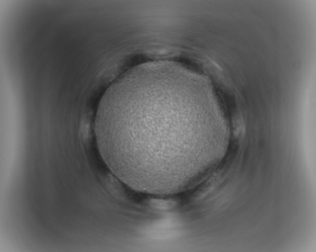 X0000113290515200909281015