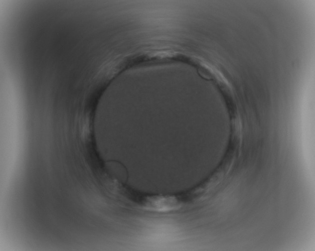 X0000113290517200909281015