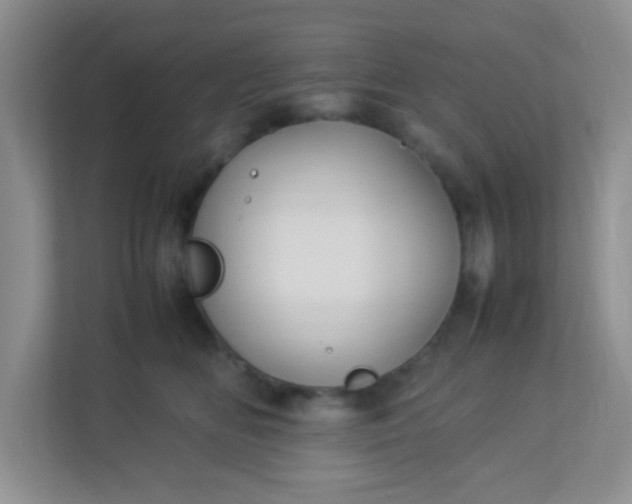 X0000113290518200909281015