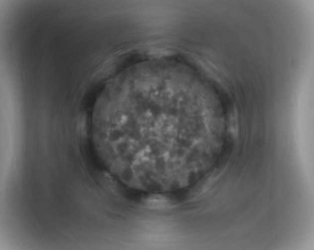 X0000113290519200909281015