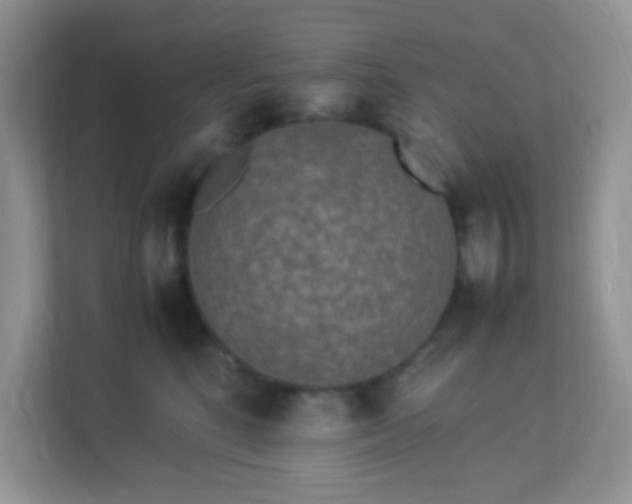 X0000113290520200909281015