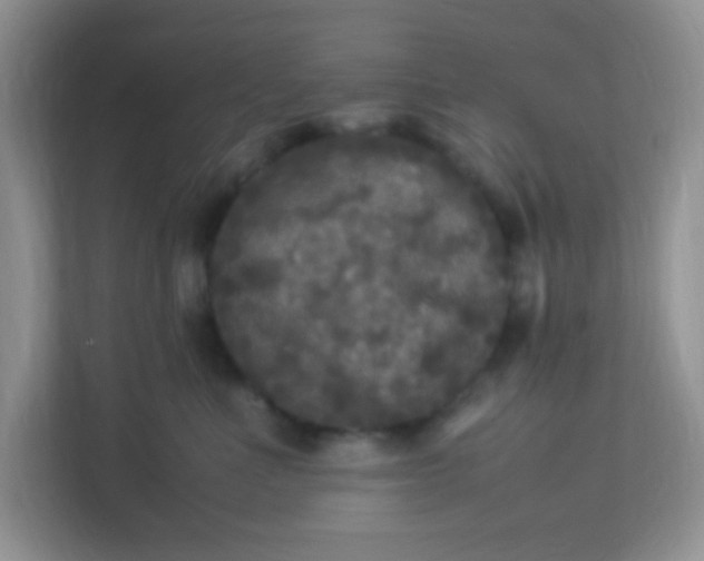 X0000113290523200909281015