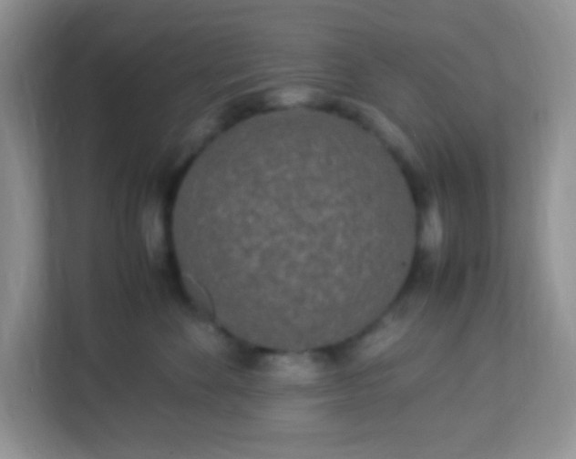 X0000113290524200909281015