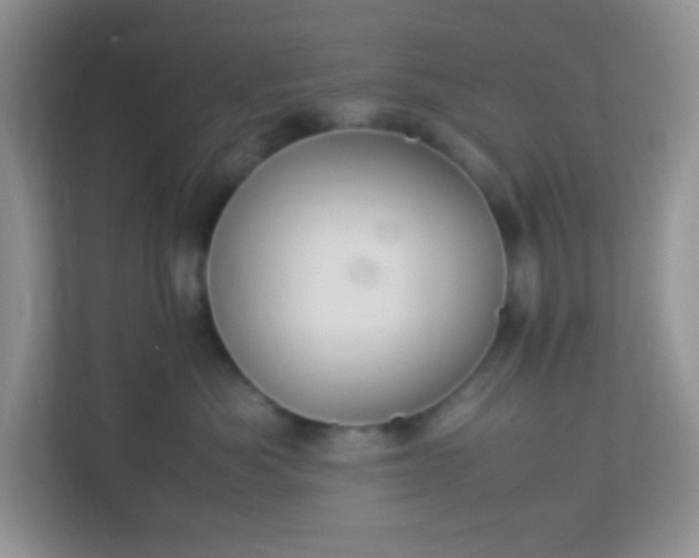 X0000113290525200909281015