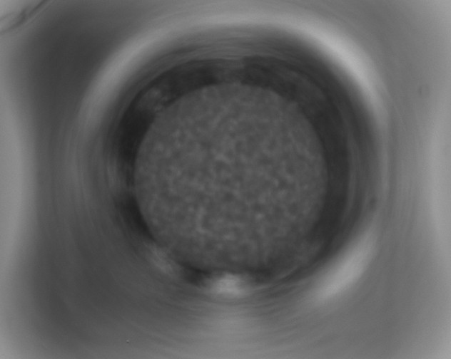 X0000113290527200909281015