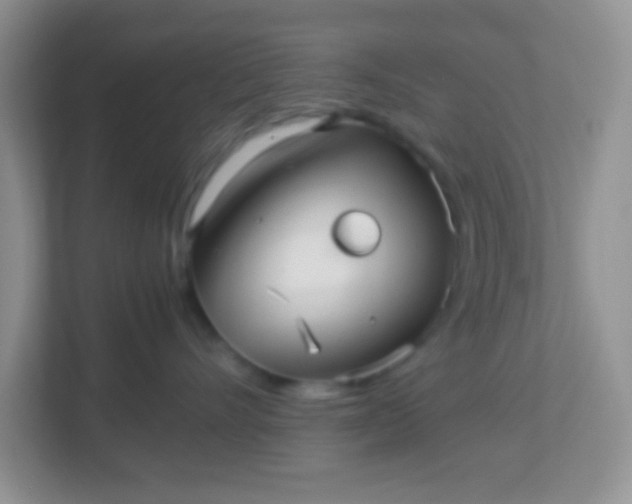 X0000113290528200909281014