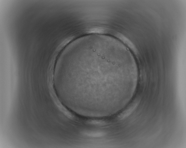 X0000113290529200909281014