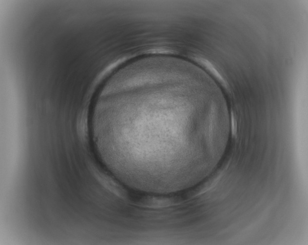 X0000113290531200909281014