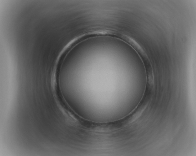 X0000113290532200909281014