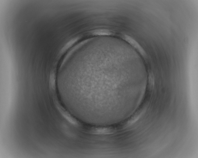 X0000113290533200909281014